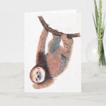 Baby Sloth Grooming Itself Card by Sloths_and_more at Zazzle