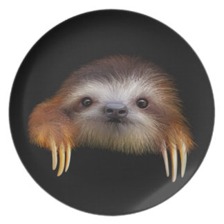 Sloth Plates | Zazzle