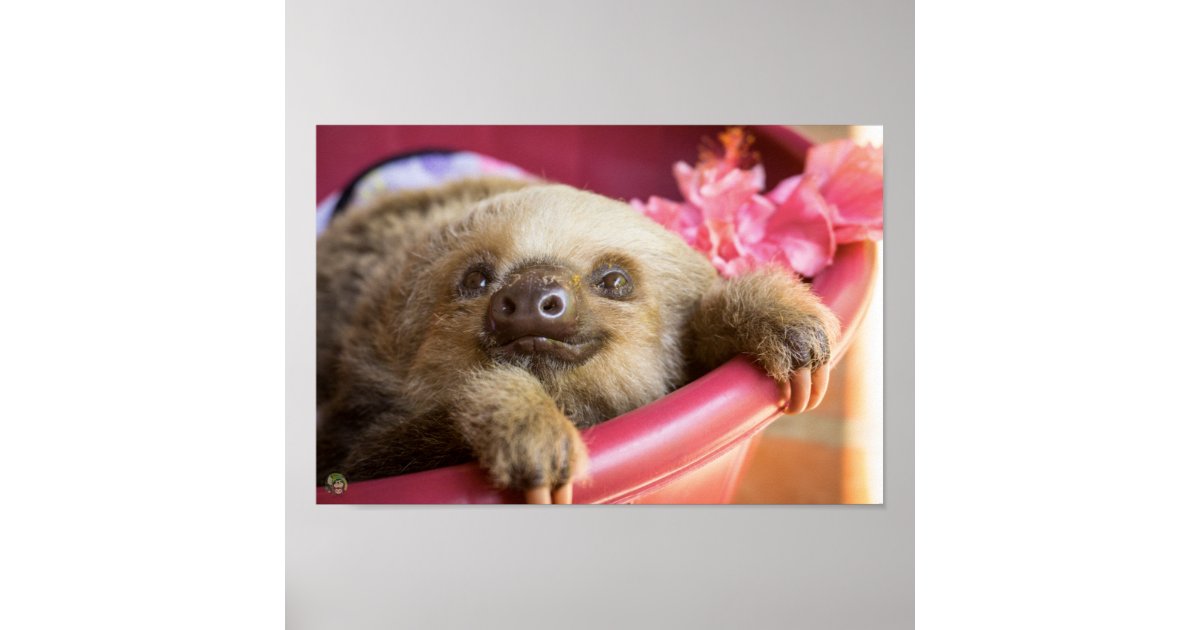 The Lovable Sloth Paint Your Own Adorable Ceramic Keepsake 