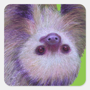 Baby Sloth Square Sticker