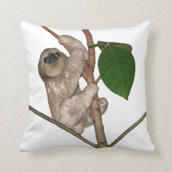 Baby Sloth Throw Pillow by Sloths_and_more at Zazzle