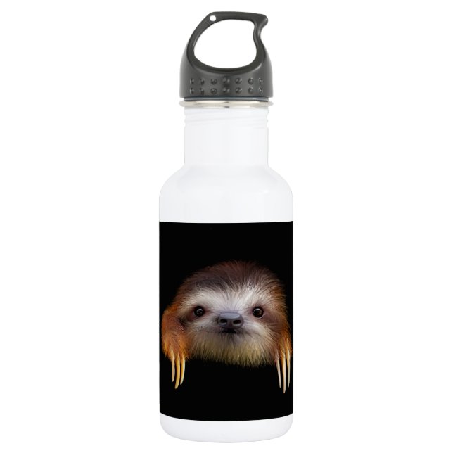 Baby Sloth Water Bottle (Front)