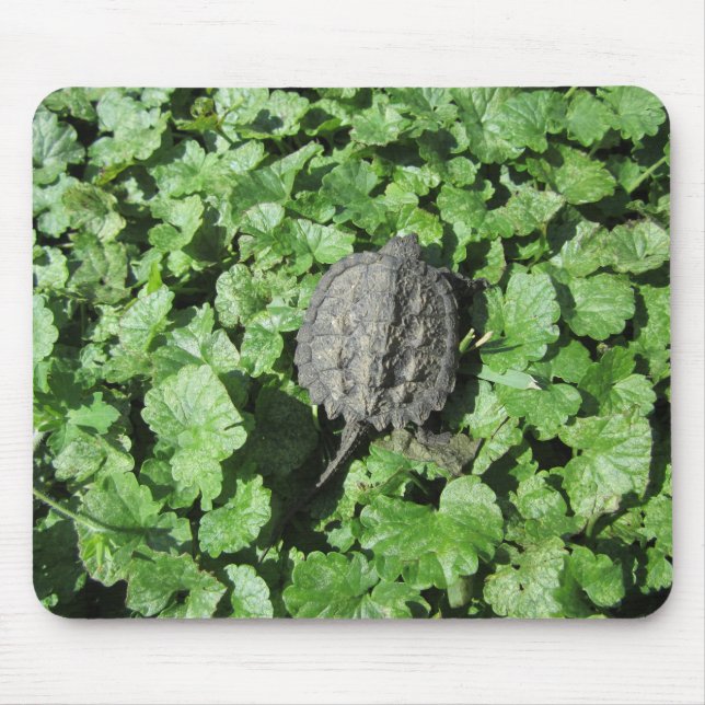 Baby Snapping Turtle Mouse Pad (Front)