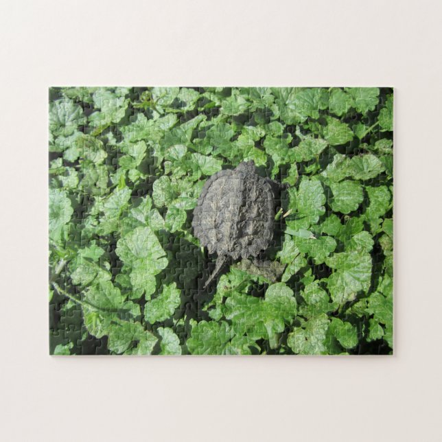 Baby Snapping Turtle Puzzle (Horizontal)