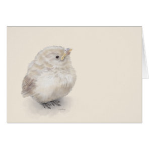Baby Sparrow Digital Watercolor Cards