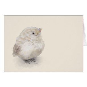 Baby Sparrow Digital Watercolor Cards