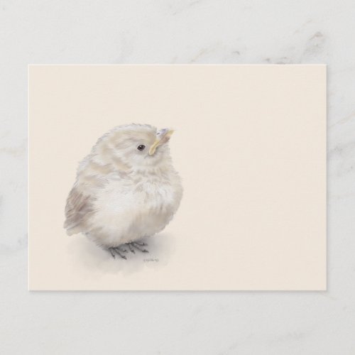 Baby Sparrow Digital Watercolor Postcard