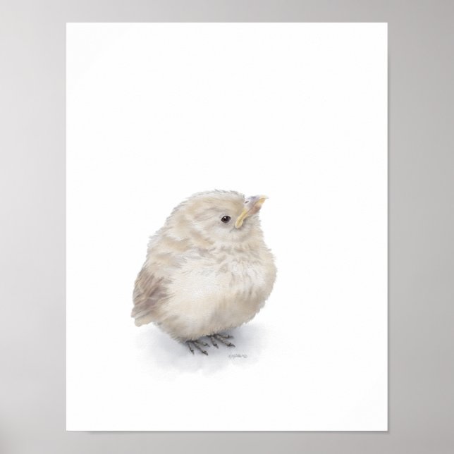 Baby Sparrow Digital Watercolor Poster (Front)