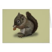 Baby Squirrel (Front Horizontal)