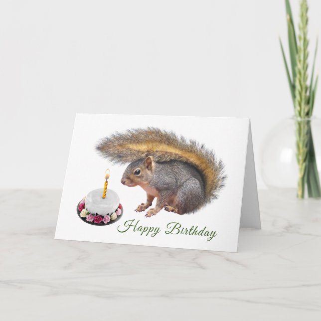Baby Squirrel Birthday Card (Front)