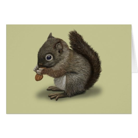 Baby Squirrel Cards (Front Horizontal)