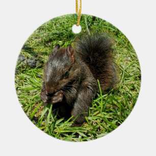 Baby squirrel ceramic ornament