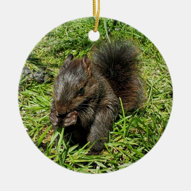 Baby squirrel ceramic ornament (Front)