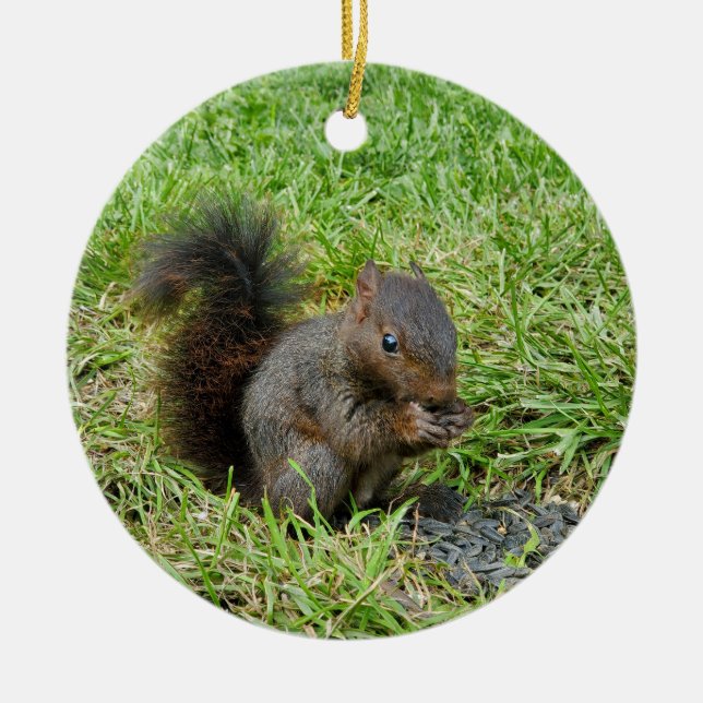 Baby squirrel ceramic ornament (Front)