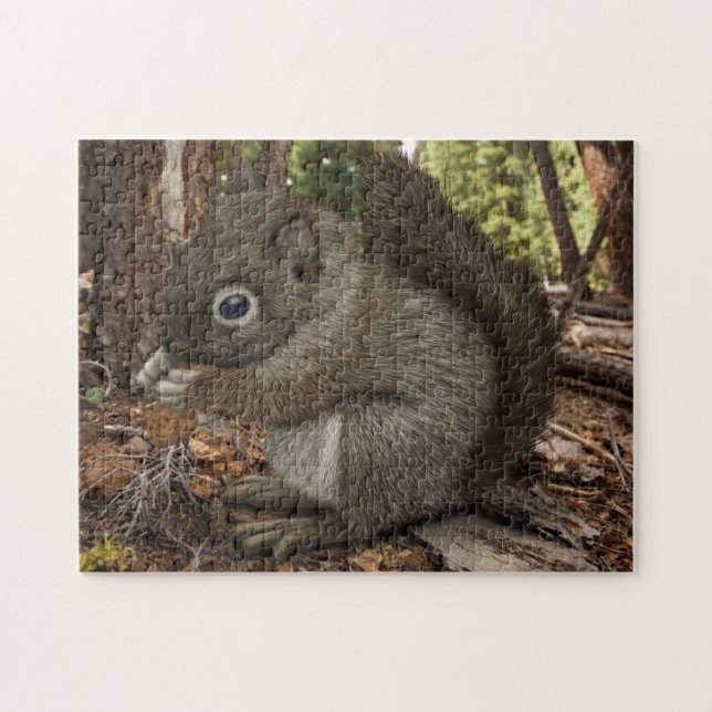 Baby Squirrel Jigsaw Puzzle (Horizontal)