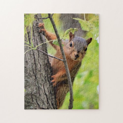 Baby Squirrel Jigsaw Puzzle