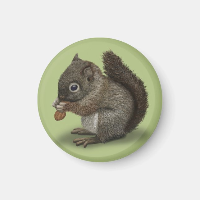 Baby Squirrel Magnet (Front)