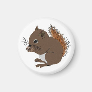 Baby Squirrel Magnet