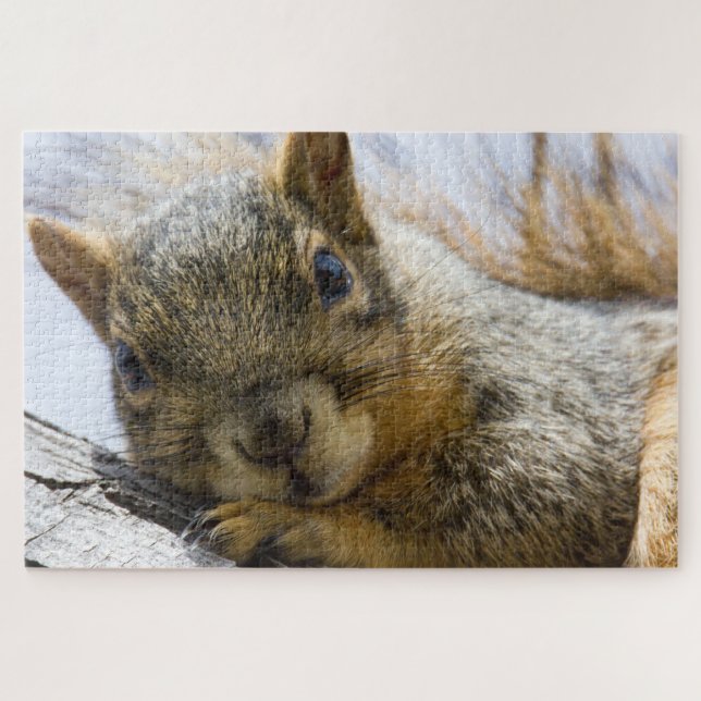 baby squirrel puzzle (Horizontal)