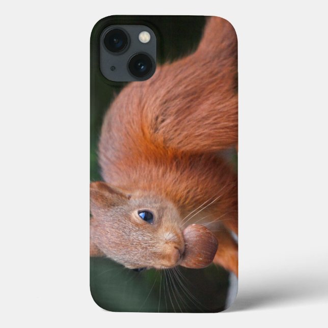 Baby Squirrel with Nut iPad Case (Back)