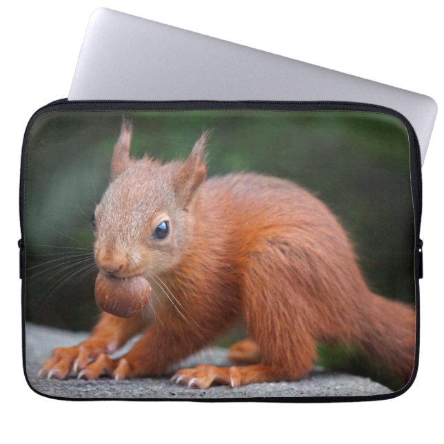 Baby Squirrel with Nut Laptop Sleeve (Front)