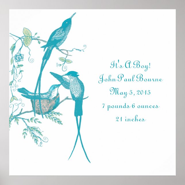 Baby Stats It's A Boy! New Baby Announcement Poster (Front)