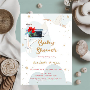 Baby Stork Delivery,Clouds Mailbox Baby Shower Invitation