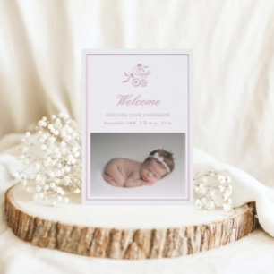 Baby Stroller Elegant Photo Baby Announcement