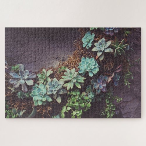 Baby succulents 1014 pieces jigsaw puzzle