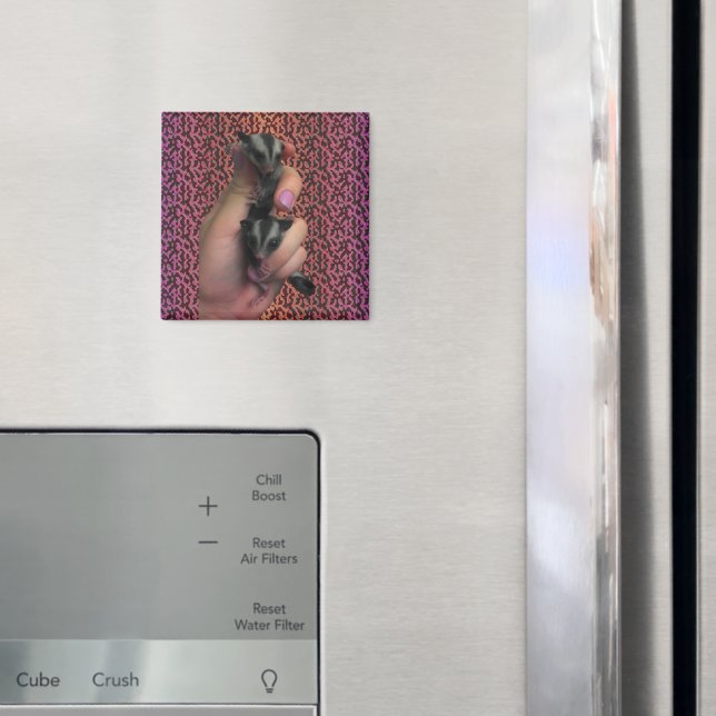 Baby Sugar Glider Magnet (In Situ (Fridge))