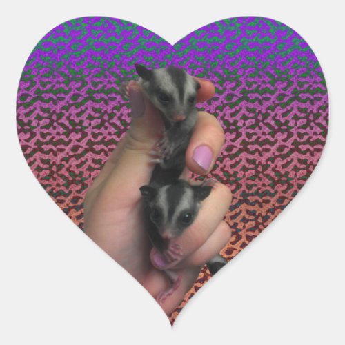 Baby Sugar Glider Sticker