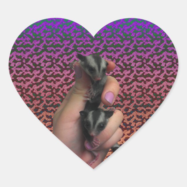 Baby Sugar Glider Sticker (Front)