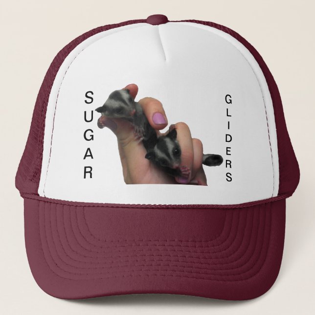 Baby Sugar Gliders Hat (Front)