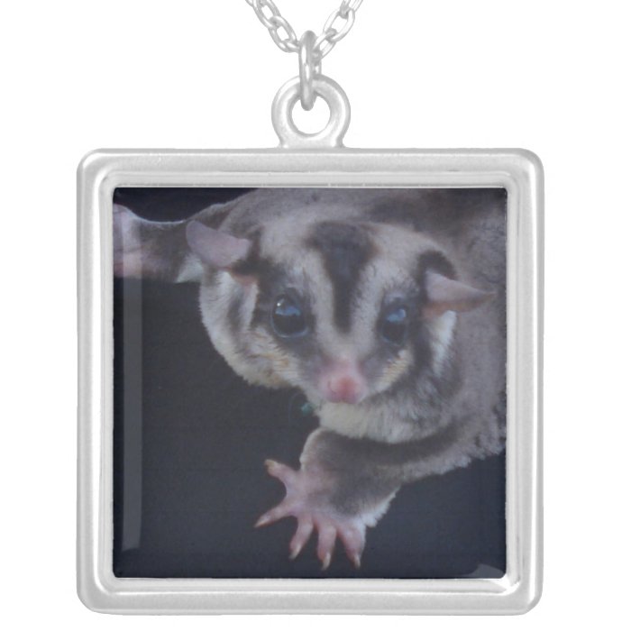 Baby Sugarglider Necklace