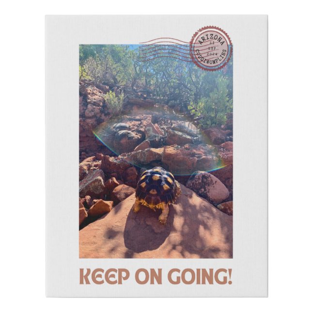 Baby Sulcata Tortoise Keep On Going Inspiration Faux Canvas Print (Front)