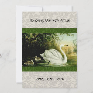 Baby Swans Baby Shower invitation
