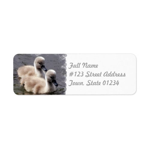 Baby Swans Mailing Label
