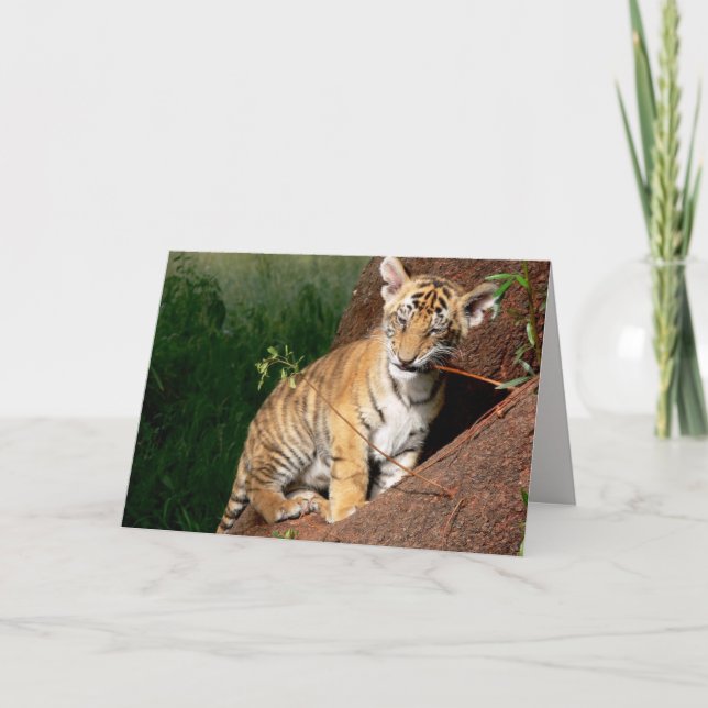 baby tiger greeting card  (Front)