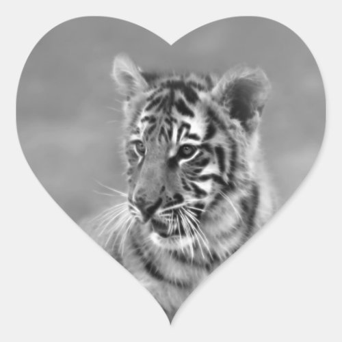 Baby Tiger in Black and white Heart Sticker