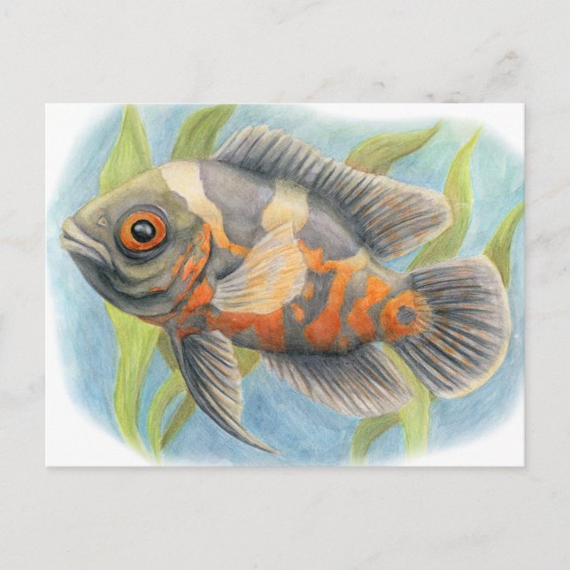 Baby Tiger Oscar Postcard (Front)