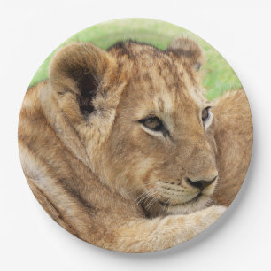 Baby Tiger paper plates