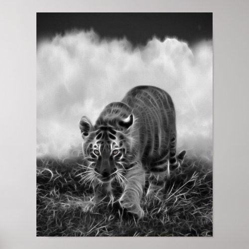 Baby Tiger stalking in Black and white Poster