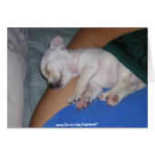 Baby Tired-Card. (Front Horizontal)