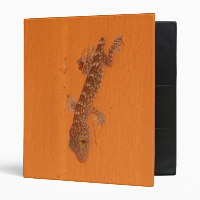 Baby Tokay Gecko 3 Ring Binder (Front/Inside)