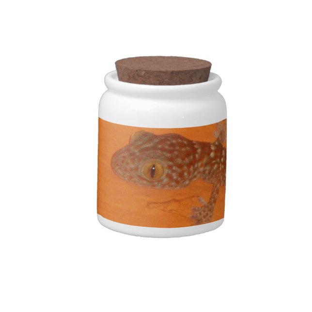 Baby Tokay Gecko Candy Jar (Left)