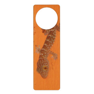 Baby Tokay Gecko Door Hanger