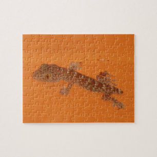 Baby Tokay Gecko Jigsaw Puzzle
