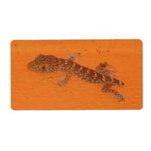 Baby Tokay Gecko Label