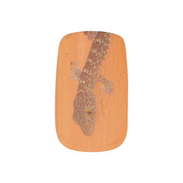 Baby Tokay Gecko Minx Nail Art (Left Thumb)