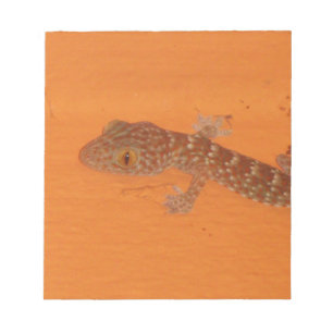 Baby Tokay Gecko Notepad